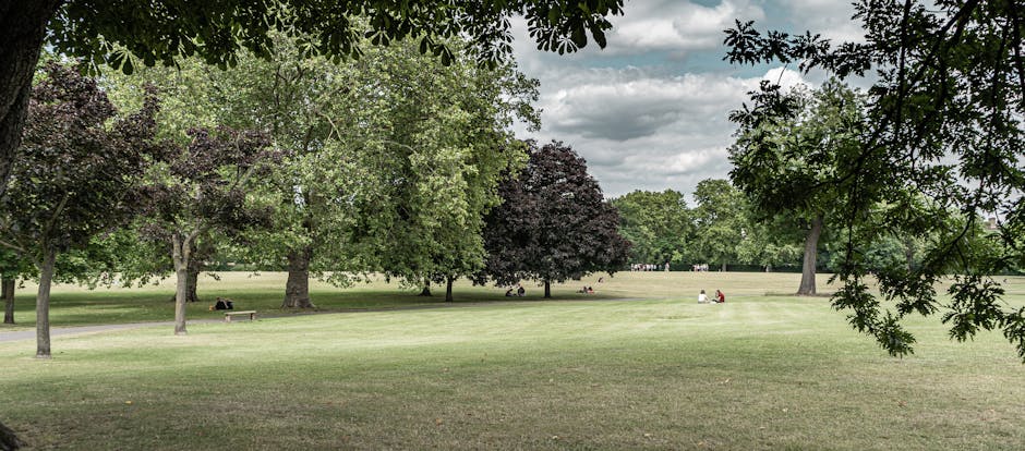 A wide view of a public park showing a well-maintained grassy area with a mix of deciduous trees, some with dark purple foliage and others with green leaves. The foreground features leafy branches from trees at the top of the frame, framing the scene. In the middle ground, several people are sitting on benches or the grass, engaging in leisure activities. The background extends to more trees and a cloudy sky, with patches of bright light illuminating parts of the park. The scene is calm and natural, illustrating an outdoor environment suitable for relaxation and recreation, with no visible rubbish or debris, highlighting the importance of local park maintenance and waste management services like those offered by Rubbish Clearance Queens Park, which supports private waste handling and alternative rubbish collection for sites around Kensal Rise and Queens Park.